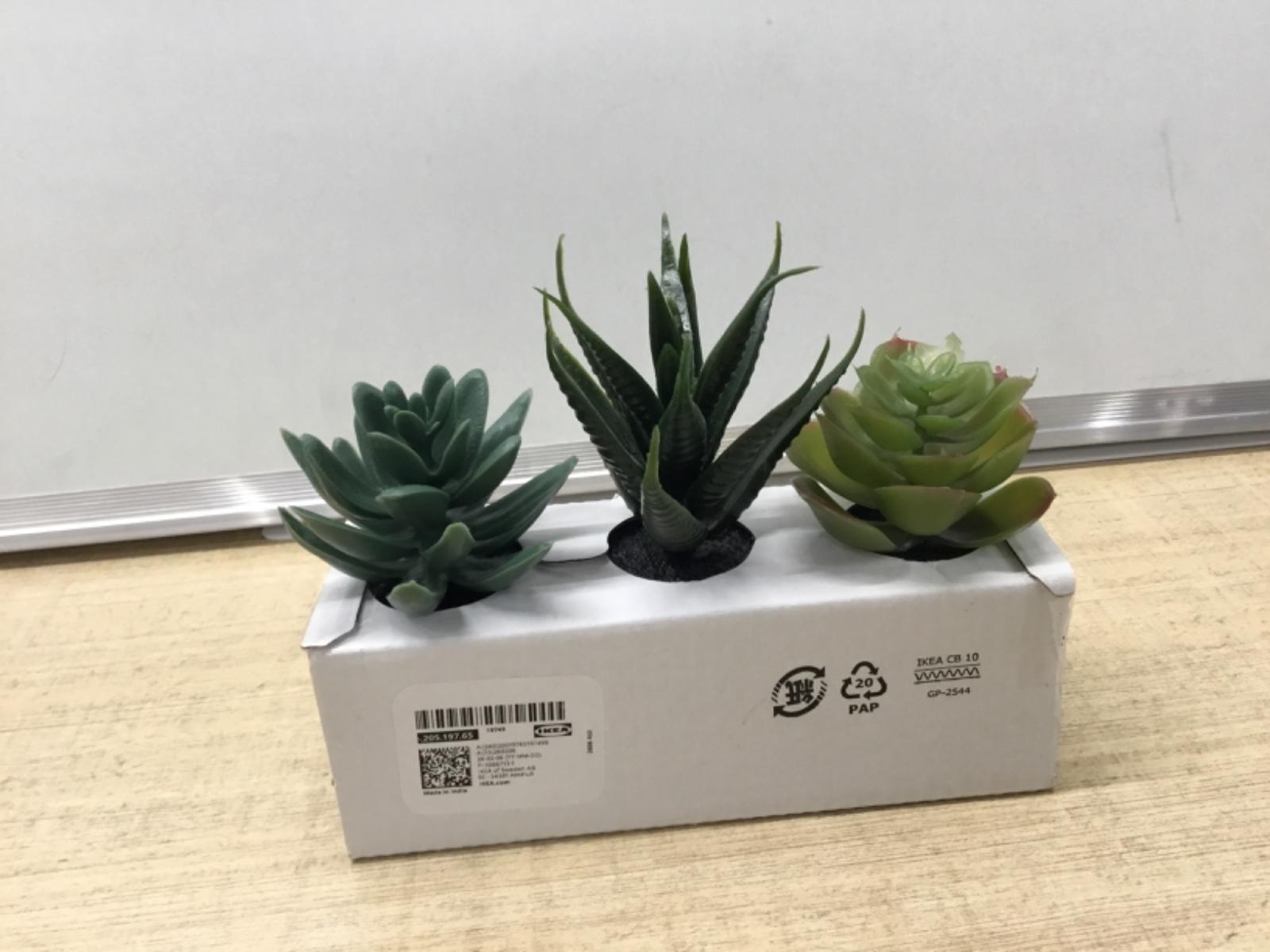 item.website_item_name